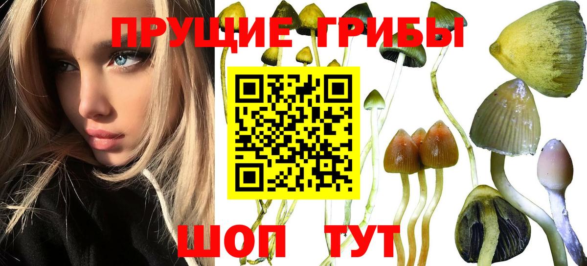 Галлюциногенные грибы Magic Shrooms Коркино